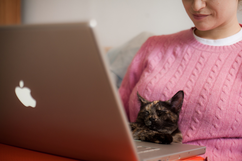 Sorry to disappoint, but there's more to distance learning than studying in your pajamas with your cat. We bust some common distance learning myths 